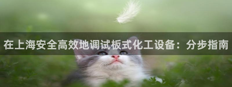 新城平台一新城注册