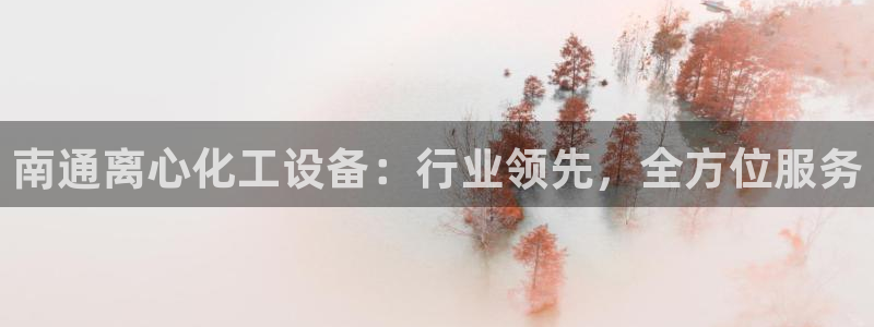新城平台登录入口官网查询网址