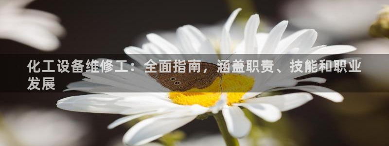 新城平台线路登录不上去了怎么回事