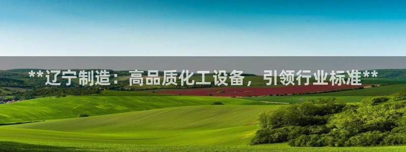 新城平台注册网址是多少
