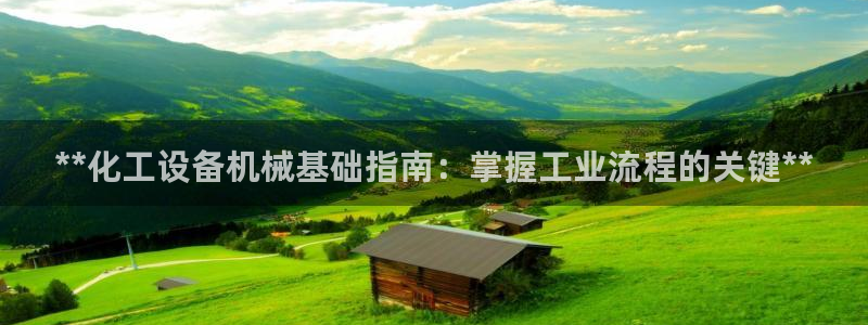 新城平台一新城注册：**化工设备机械基础指南：掌握