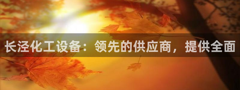 新城平台登录入口官网网址是多少