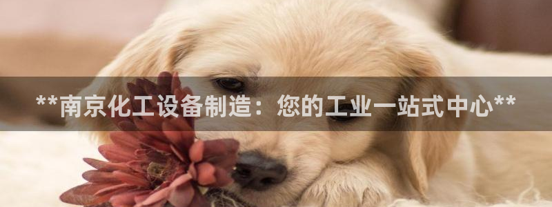 新城平台登录入口官网首页