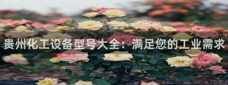 新城平台记7O777：贵州化工设备型号大全：满足您的工业需求