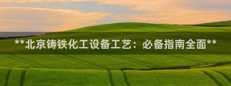 新城平台注册公司流程视频：**北京铸铁化工设备工艺：必备指南