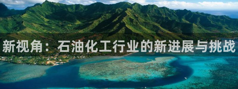 新城平台登录入口官网查询网址