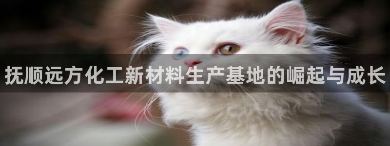 新城平台官网首页登录