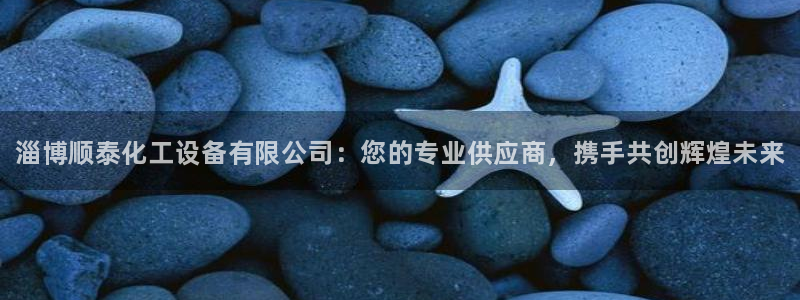 新城平台主管：淄博顺泰化工设备有限公司：您的专业供