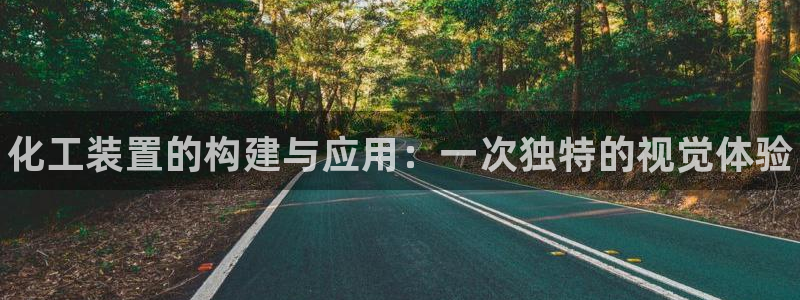 新城平台企业信息查询：化工装置的构建与应用：一次独特的视觉体