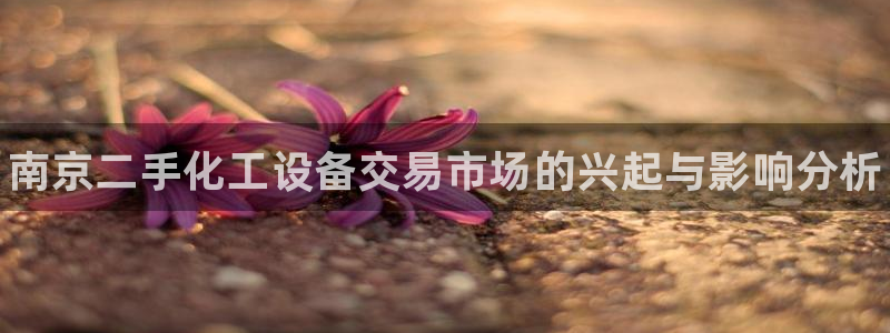 新城平台登录入口官网下载手机版：南京二手化工设备交易市场的兴