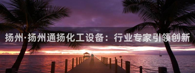 新城平台登录入口官网下载：扬州·扬州通扬化工设备：