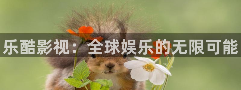 五五影院：乐酷影视：全球娱乐的无限可能