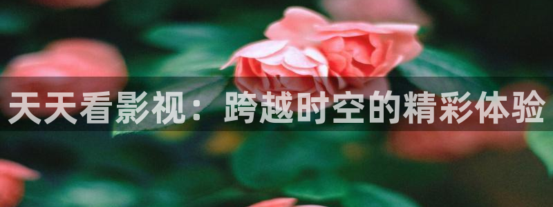 五五五电影网站：天天看影视：跨越时空的精彩体验