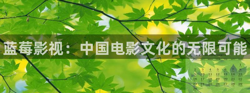 五五免费电影：蓝莓影视：中国电影文化的无限可能