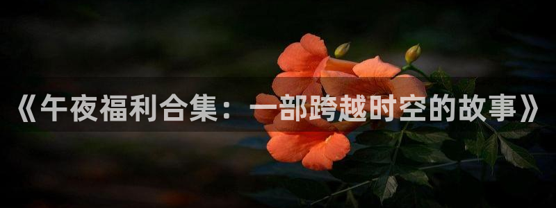 五五影院免费看：《午夜福利合集：一部跨越时空的故事》