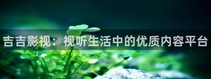 五五影视网：吉吉影视：视听生活中的优质内容平台