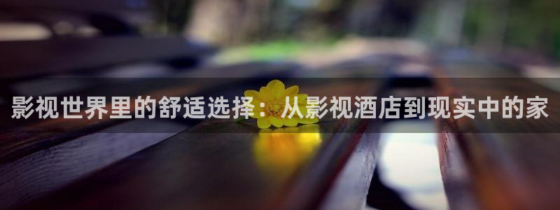 五五免费影院：影视世界里的舒适选择：从影视酒店到现实中的家