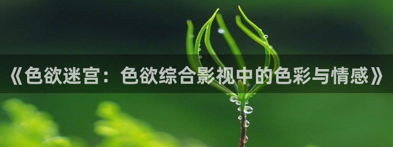 五五影院网站：《色欲迷宫：色欲综合影视中的色彩与情感》
