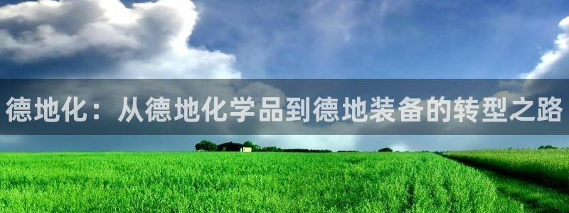 新城平台是干嘛的公司啊