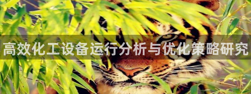 新城平台总代理是谁