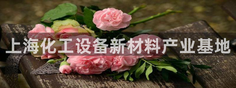 新城平台企业信息查询