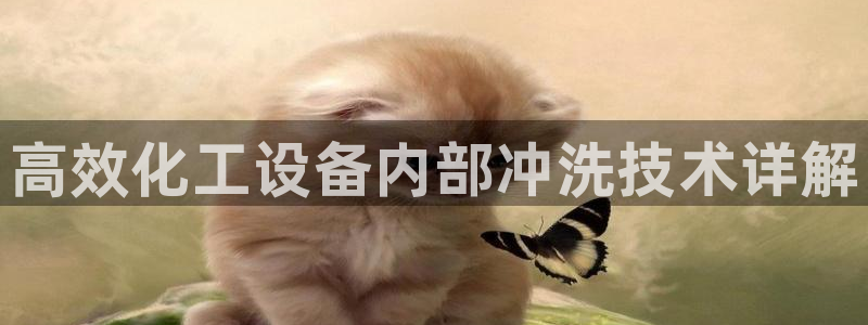 新城平台登录密码忘了怎么找回