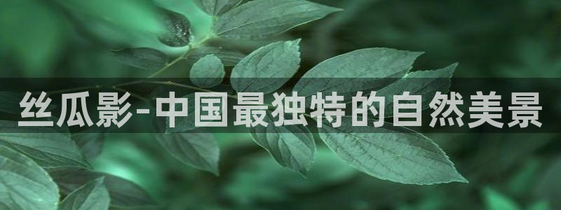 五五影视最新影视剧：丝瓜影-中国最独特的自然美景