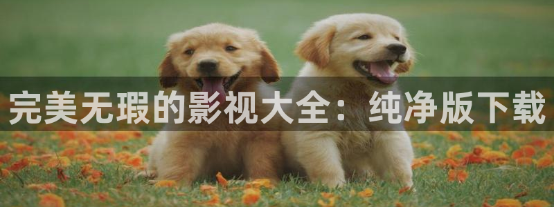 五五影视影院：完美无瑕的影视大全：纯净版下载
