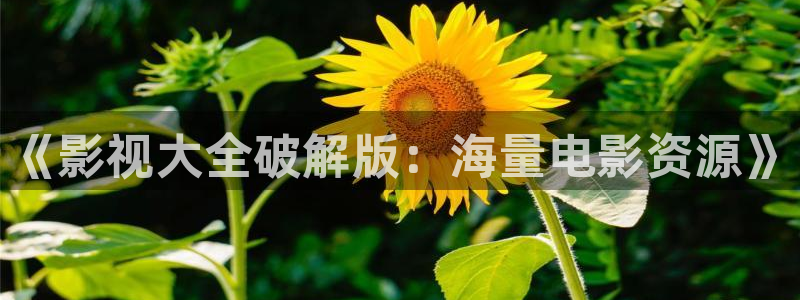 五五电影官网：《影视大全破解版：海量电影资源》
