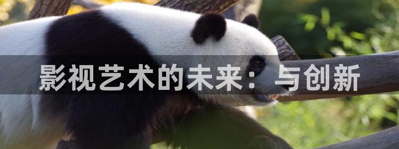 五五电影在线观看：影视艺术的未来：与创新