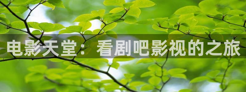 五五影院电影免费观看：电影天堂：看剧吧影视的之旅