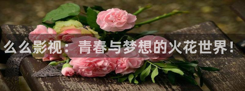五五影院网站：么么影视：青春与梦想的火花世界！